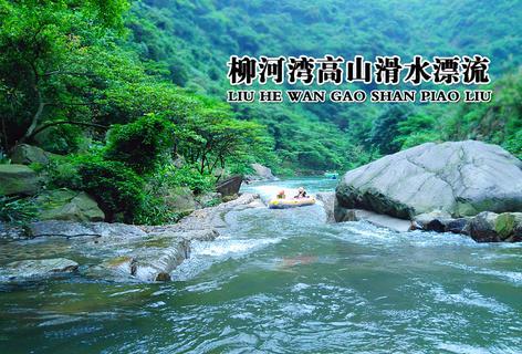 小猫钓鱼游戏龙王版有船